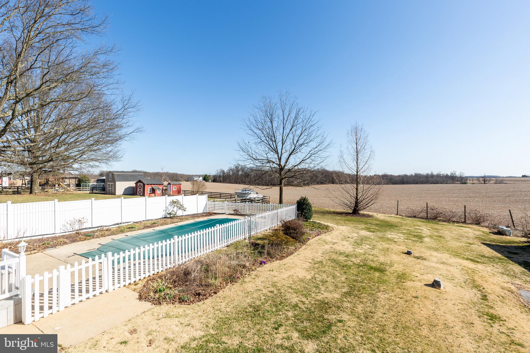 2303 Coon Club Road Westminster, MD 21157 - Photo 46 of 62 Blooms & berries coming soon!