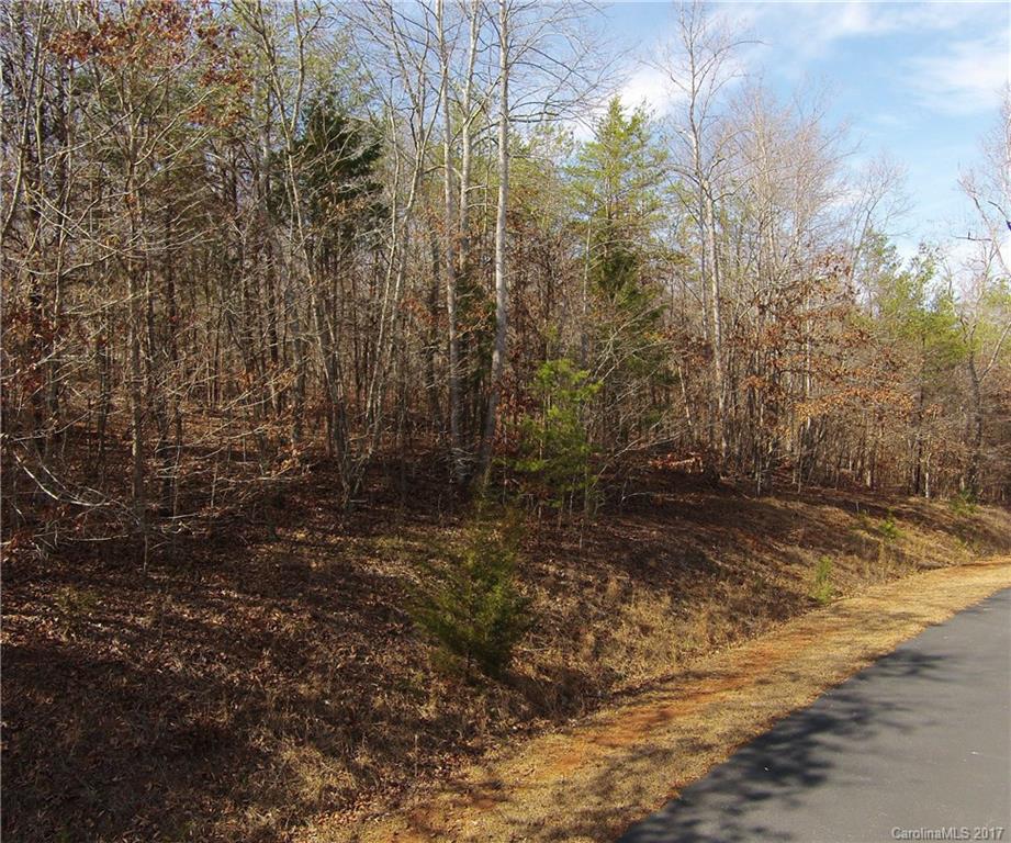 56 Front Ridge Circle, Unit 56 Rutherfordton, NC 28139 - Photo 3 of 11