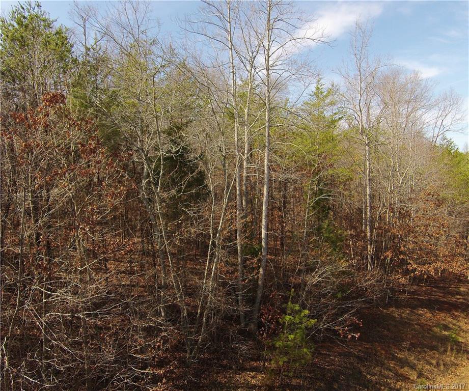 56 Front Ridge Circle, Unit 56 Rutherfordton, NC 28139 - Photo 5 of 11