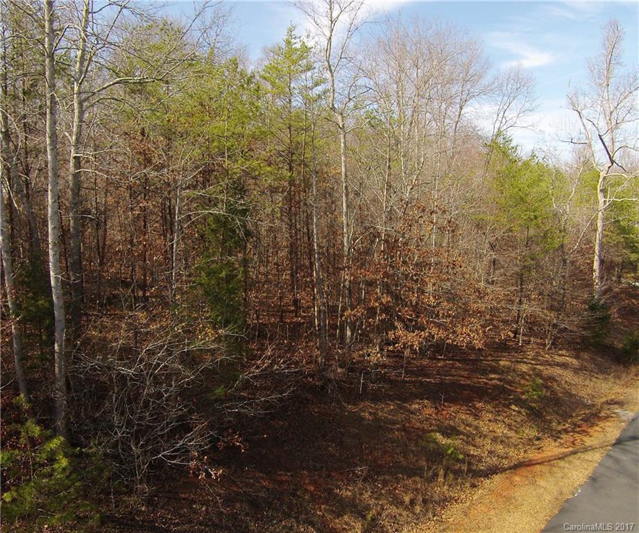 56 Front Ridge Circle, Unit 56 Rutherfordton, NC 28139 - Photo 7 of 11