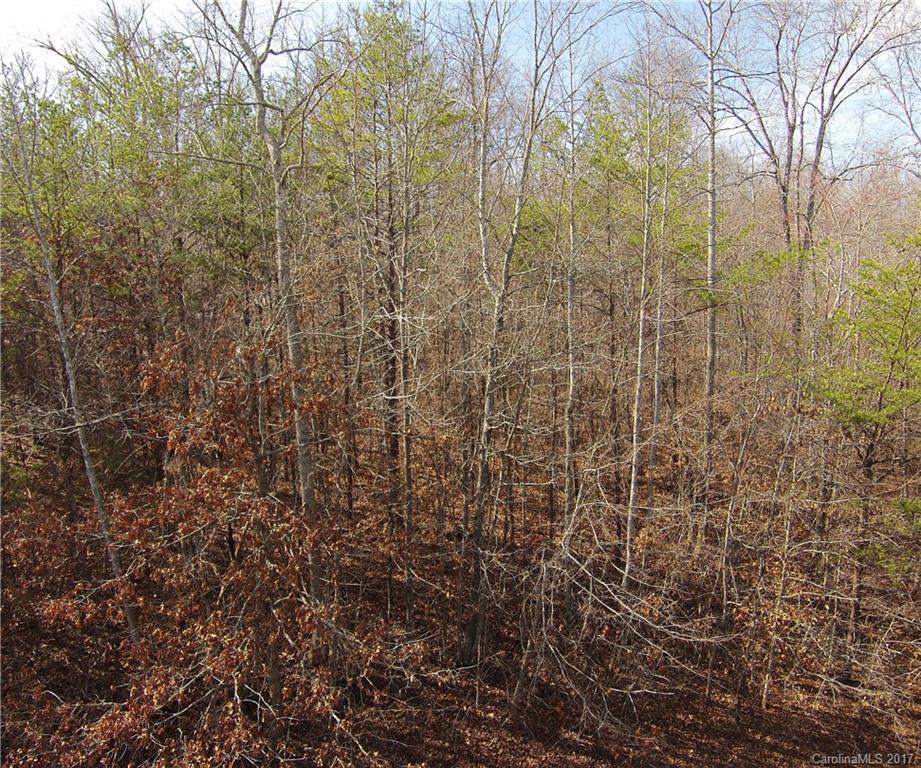 56 Front Ridge Circle, Unit 56 Rutherfordton, NC 28139 - Photo 9 of 11