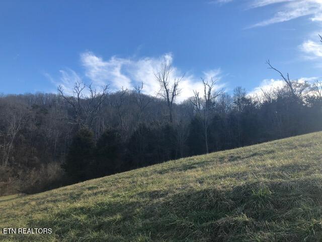 Lot 321 Russell Brothers Road Sharps Chapel, TN 37866 - Photo 25 of 28 L#321 Russell Br Sunset Bay Norris Lake