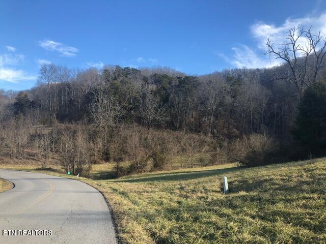 Lot 321 Russell Brothers Road Sharps Chapel, TN 37866 - Photo 27 of 28 L#321 Russell Br Sunset Bay Norris Lake