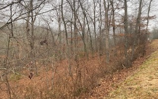 Additional View