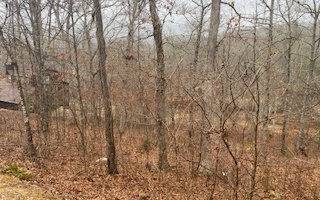 Additional View