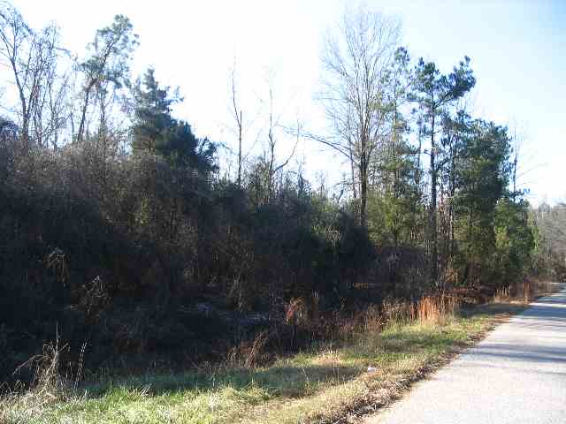 -- Whitten Road Waterloo, SC 29384 - Photo 1 of 1 Main View