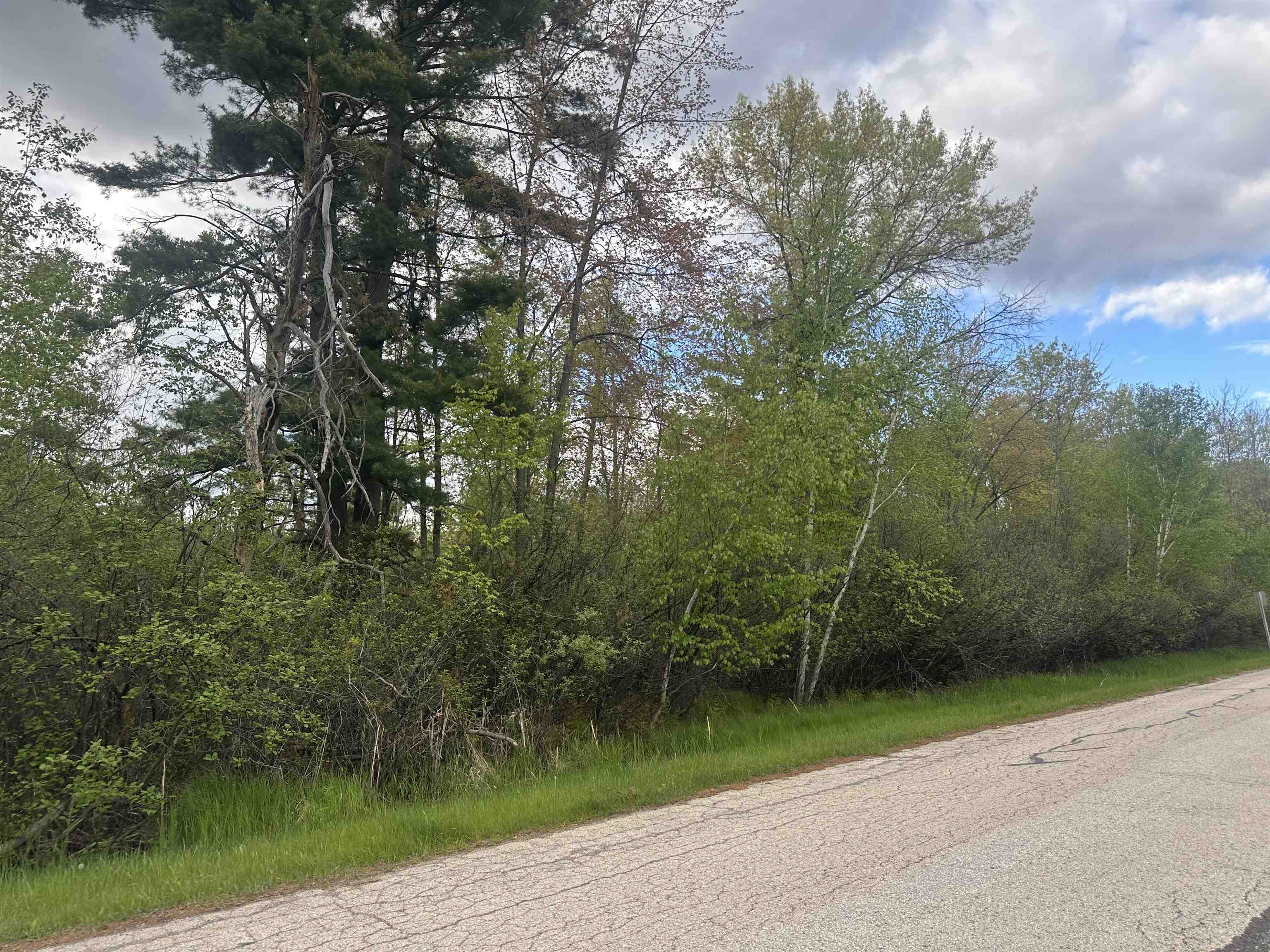 Mcgraw Street Peshtigo, WI 54157 - Photo 2 of 7