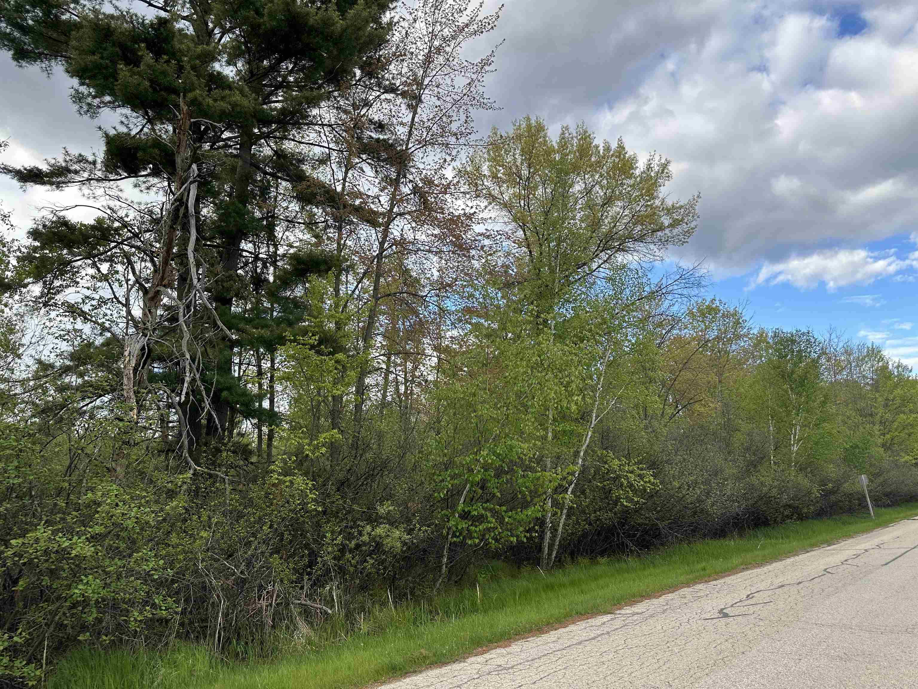 Mcgraw Street Peshtigo, WI 54157 - Photo 3 of 7