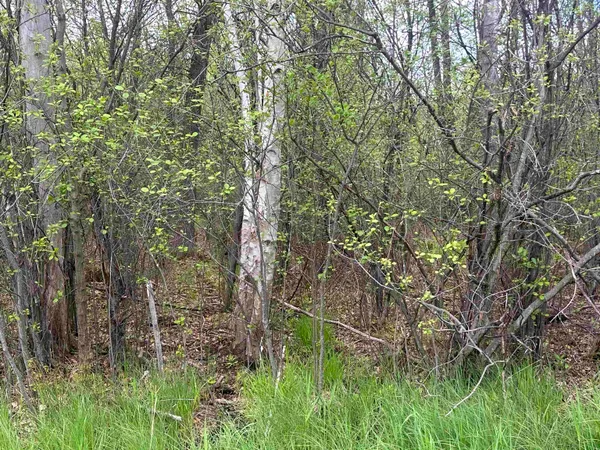 $33,400 | Mcgraw Street, Peshtigo, WI 54157