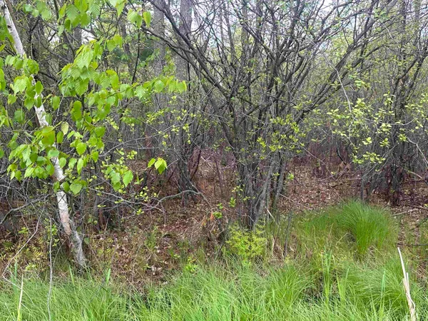 $33,400 | Mcgraw Street, Peshtigo, WI 54157