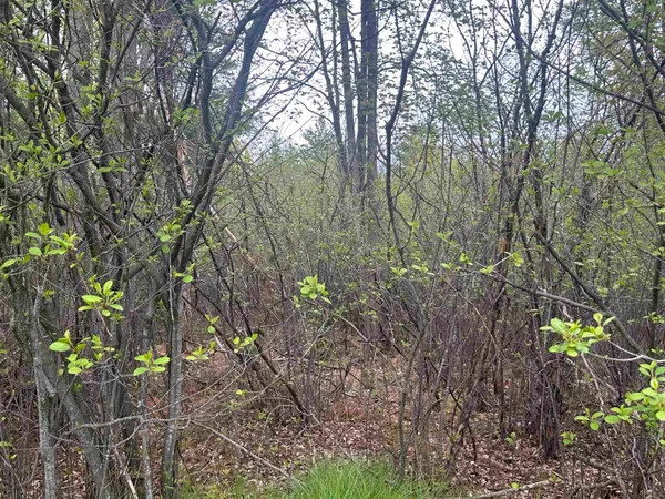 $33,400 | Mcgraw Street, Peshtigo, WI 54157