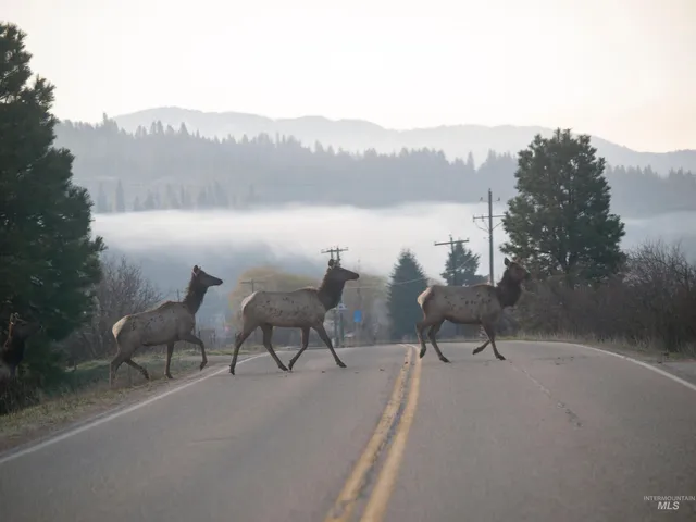 $75,000 | 8 Blk, Garden Valley, ID 83622