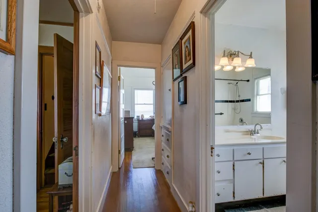 a view of a garden with a large tree