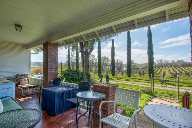 a view of a park with large trees
