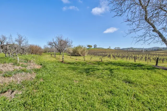 a view of a field with an ocean