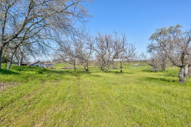 a view of a lake with a mountain