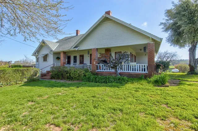 a view of a grassy area with an trees