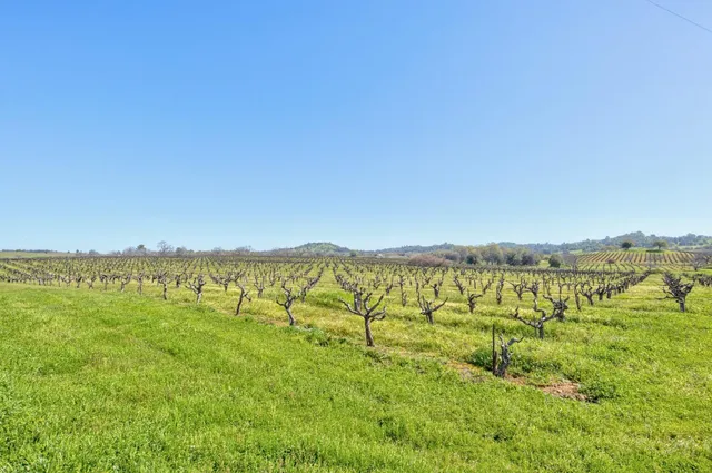 $2,700,000 | 20865 Shenandoah School Road, Plymouth, CA 95669