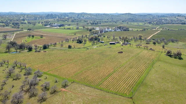 $2,700,000 | 20865 Shenandoah School Road, Plymouth, CA 95669