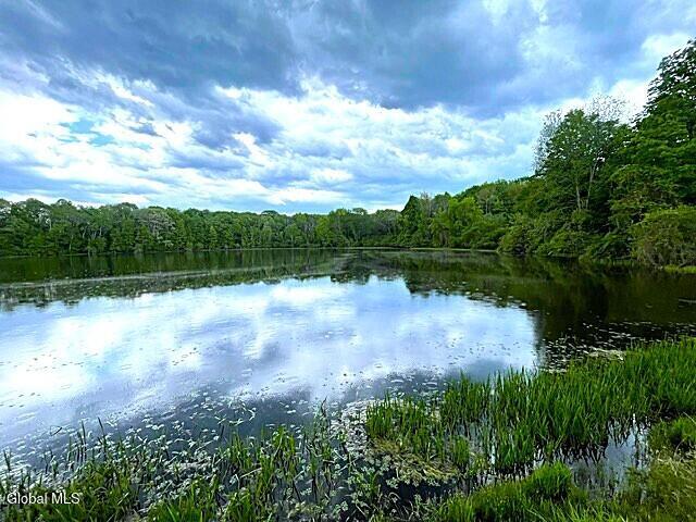 62 Tybush Lane Brunswick, NY 12180 - Photo 38 of 75 pond