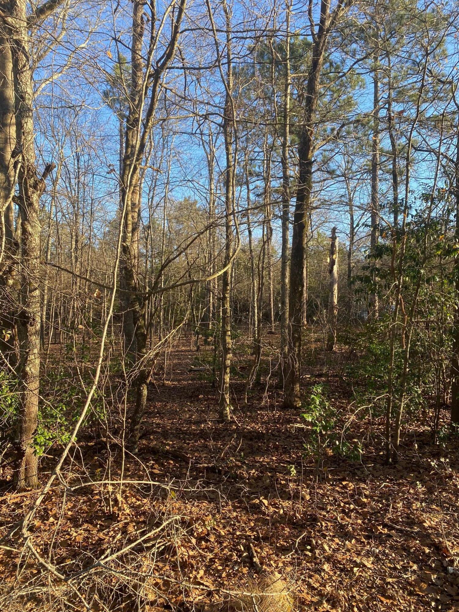 0 Fish Hatchery Road, Unit A Gaston, SC 29053 - Photo 6 of 7