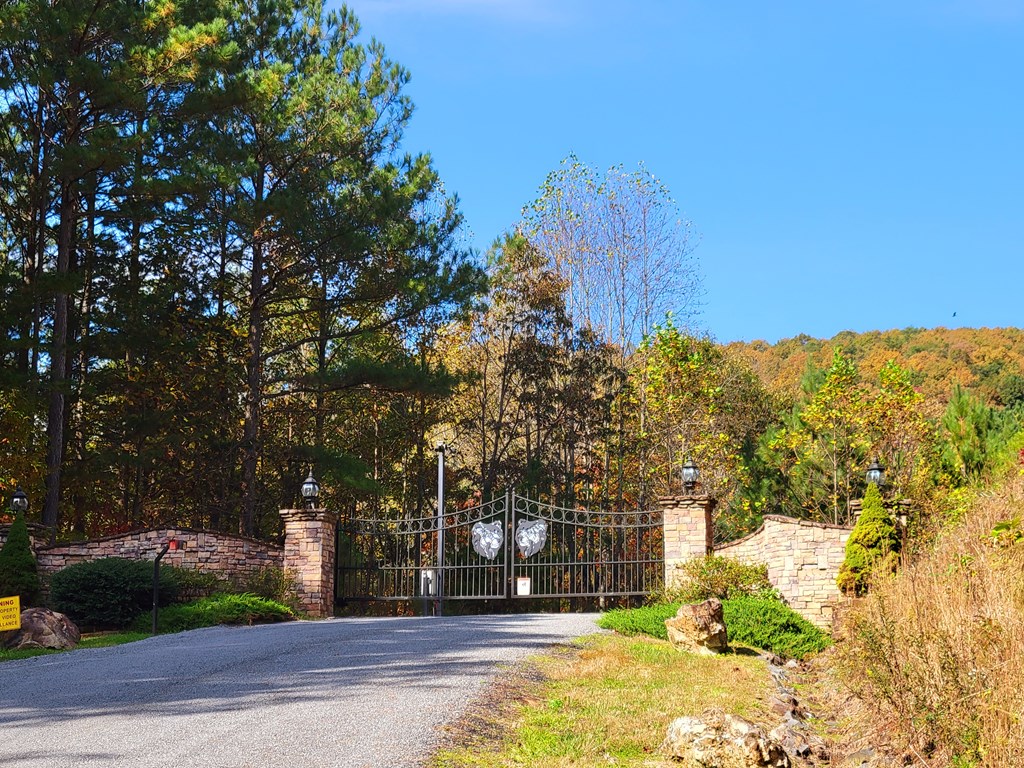 Lot 6 Black Bear Ridge Road Ellijay, GA 30536 - Photo 12 of 19 Gallery Image 12
