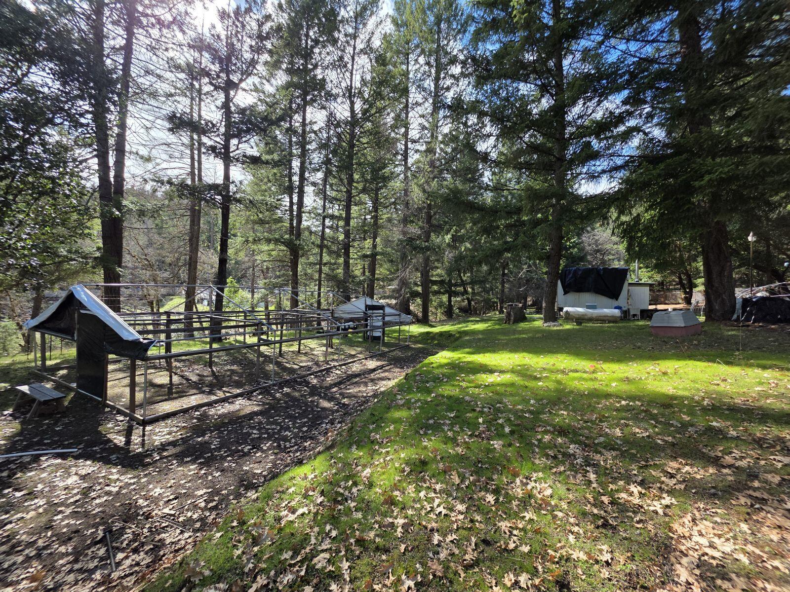 2141 Mc Alexander Road Hayfork, CA 96041 - Photo 12 of 29 mc12