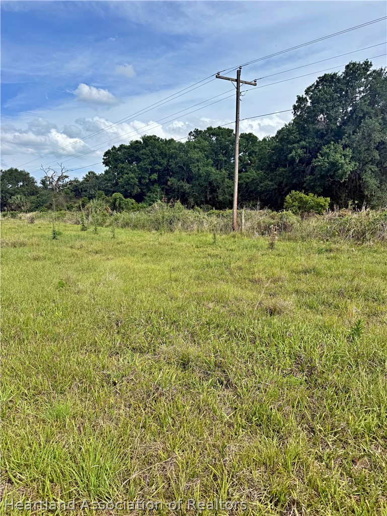 Colin Poucher Road Zolfo Springs, FL 33890 - Photo 6 of 6 a backyard of a house with lots of green space