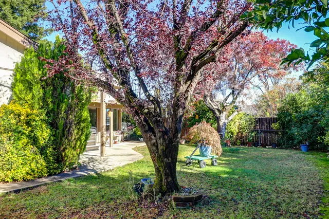 a view of a backyard with a wooden fence