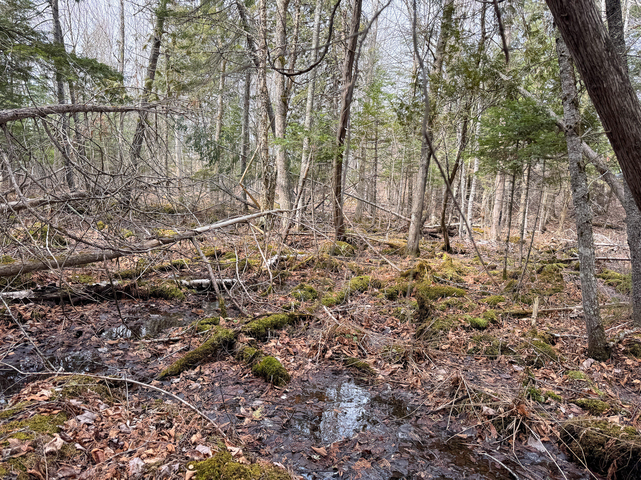 M11-l10 Gordon Hill Road Thorndike, ME 04986 - Photo 9 of 17