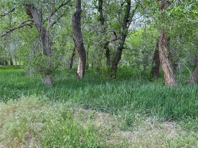 $60,000 | 42 East Garland Street, La Veta, CO 81055