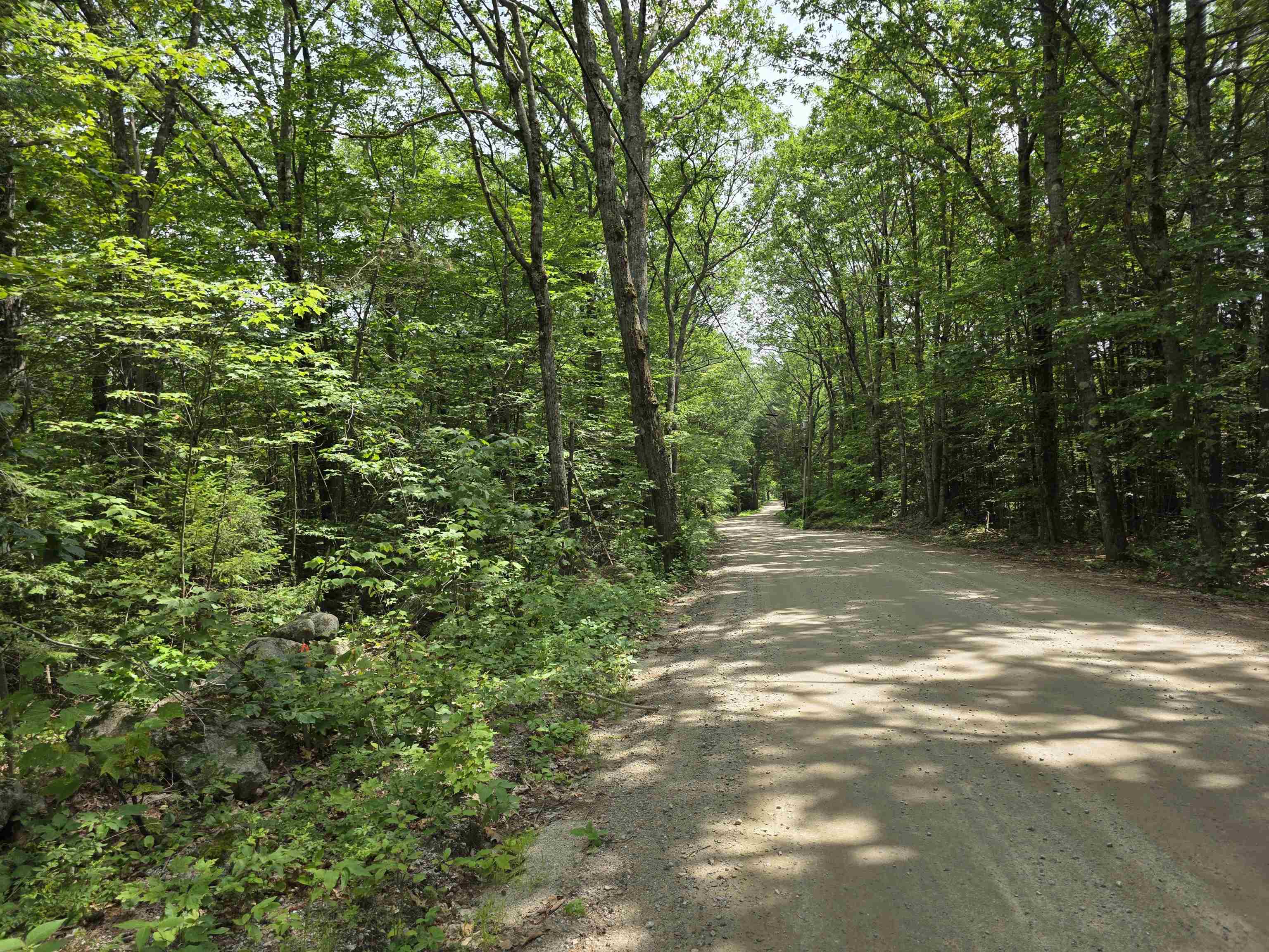 0 Reed Carr Road Antrim, NH 03440 - Photo 4 of 6