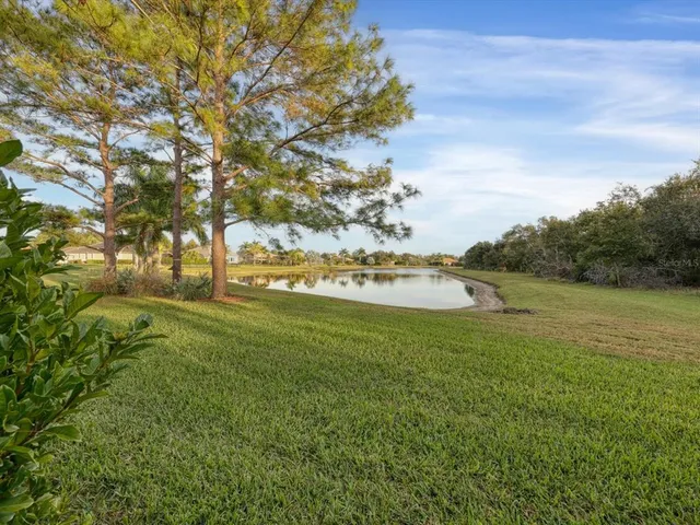 a view of a grassy area with an trees