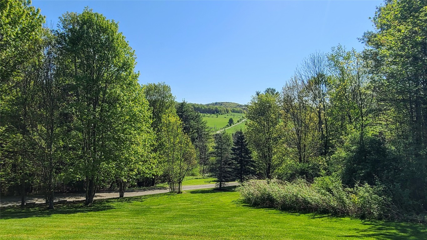 534 Lower Fairfield Road Candor, NY 13811 - Photo 8 of 50 Gallery Image 8