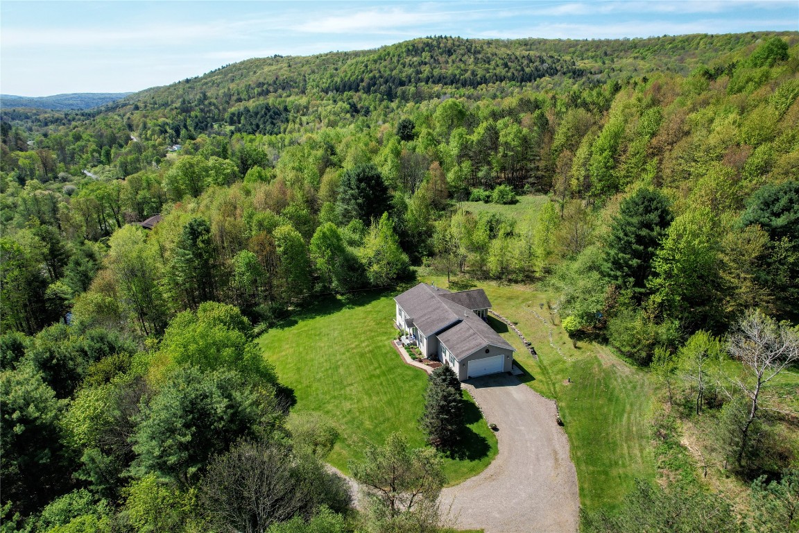 534 Lower Fairfield Road Candor, NY 13811 - Photo 9 of 50 Gallery Image 9