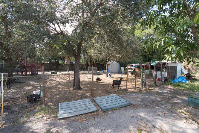 5527 2nd Road Lake Worth, FL 33467 - Photo 14 of 16 Goat Pen