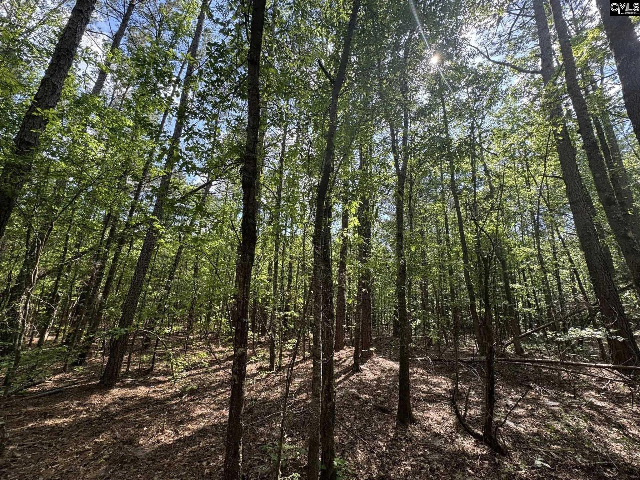 76 West W Highway Honea Path, SC 29654 - Photo 21 of 35