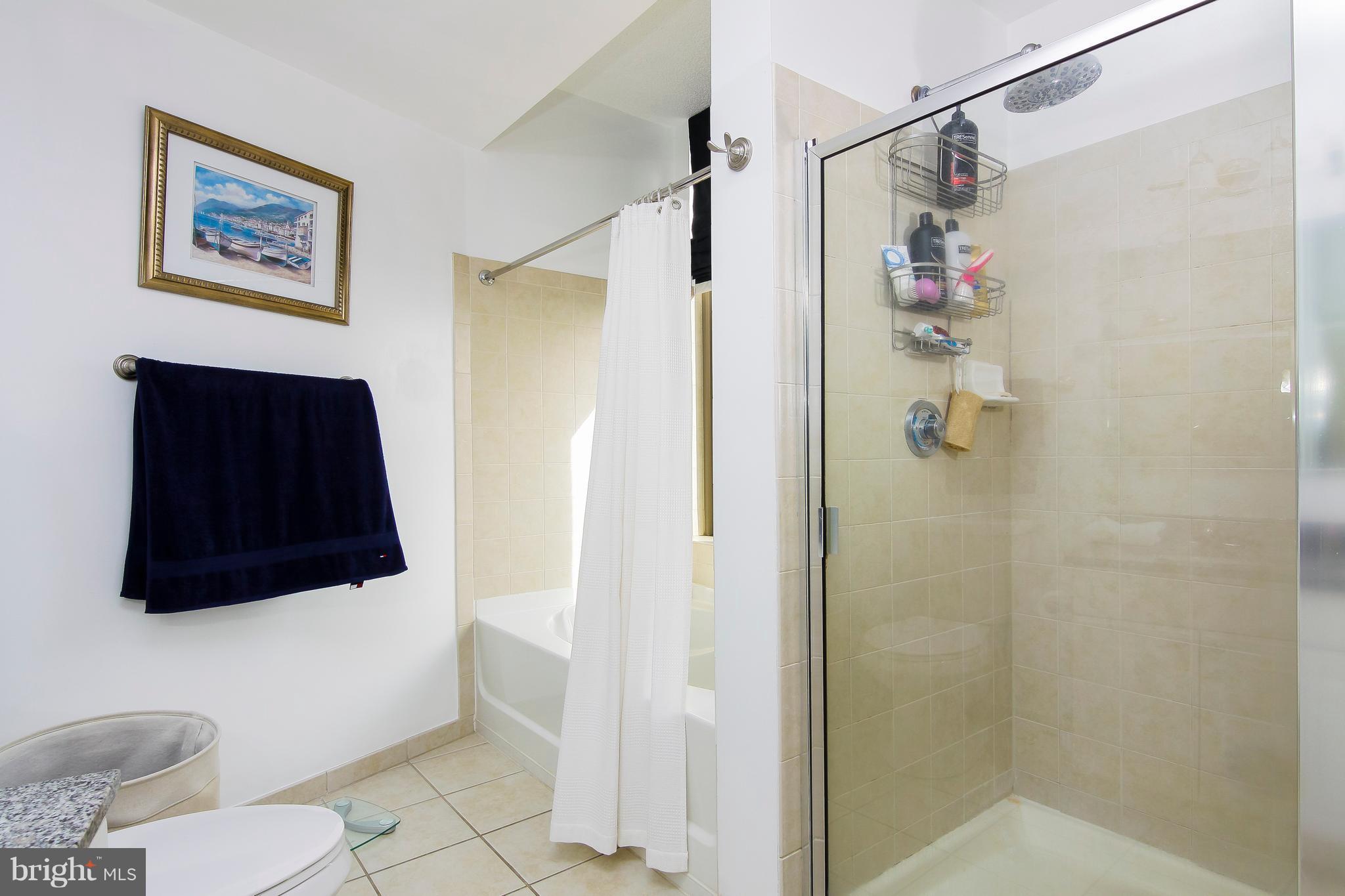 3600 South Glebe Road, Unit 323W Arlington, VA 22202 - Photo 19 of 28 Bath (Master)