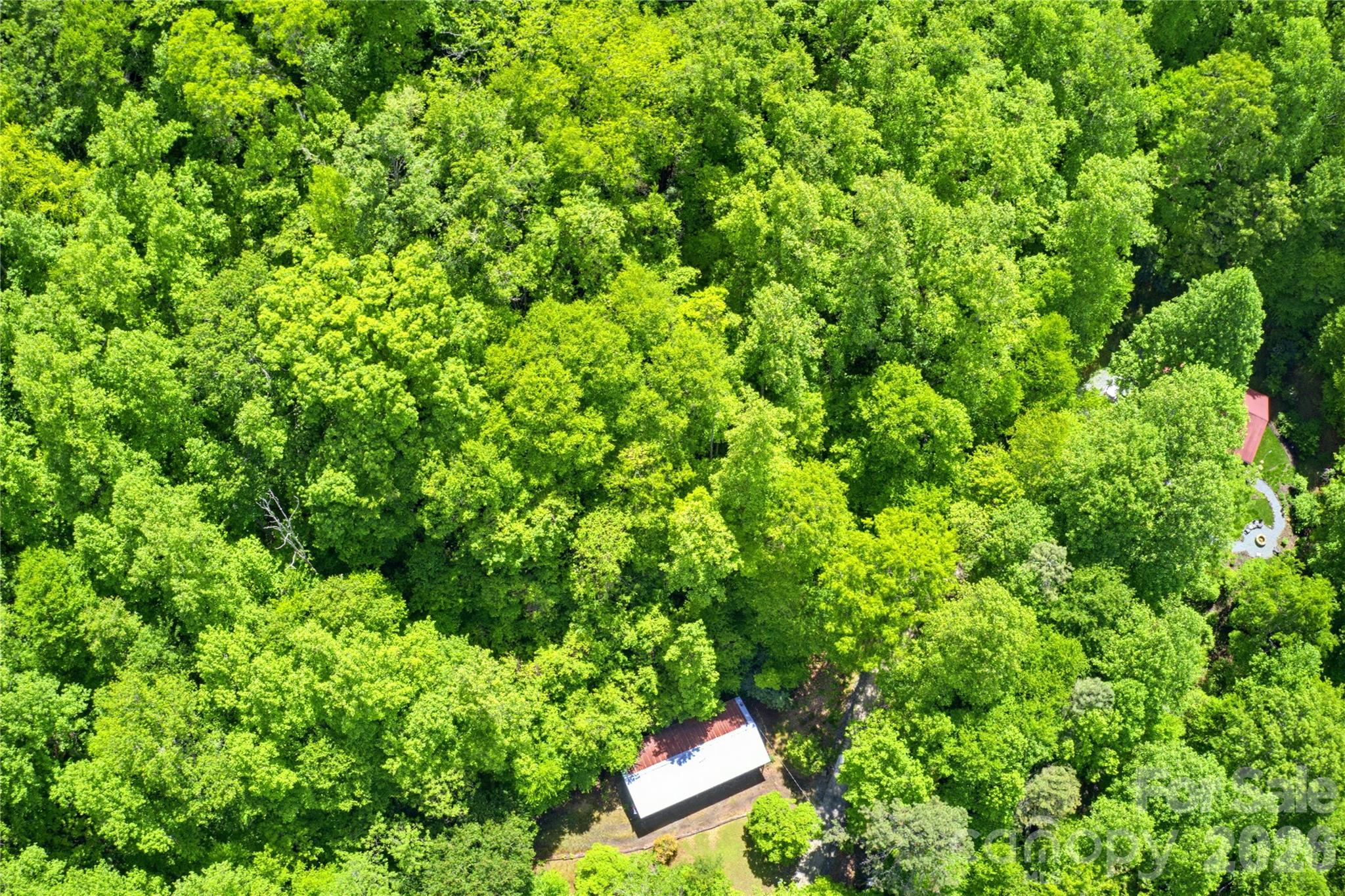 223 Little Cove Road Sylva, NC 28779 - Photo 7 of 31 an aerial view of a house with a tree