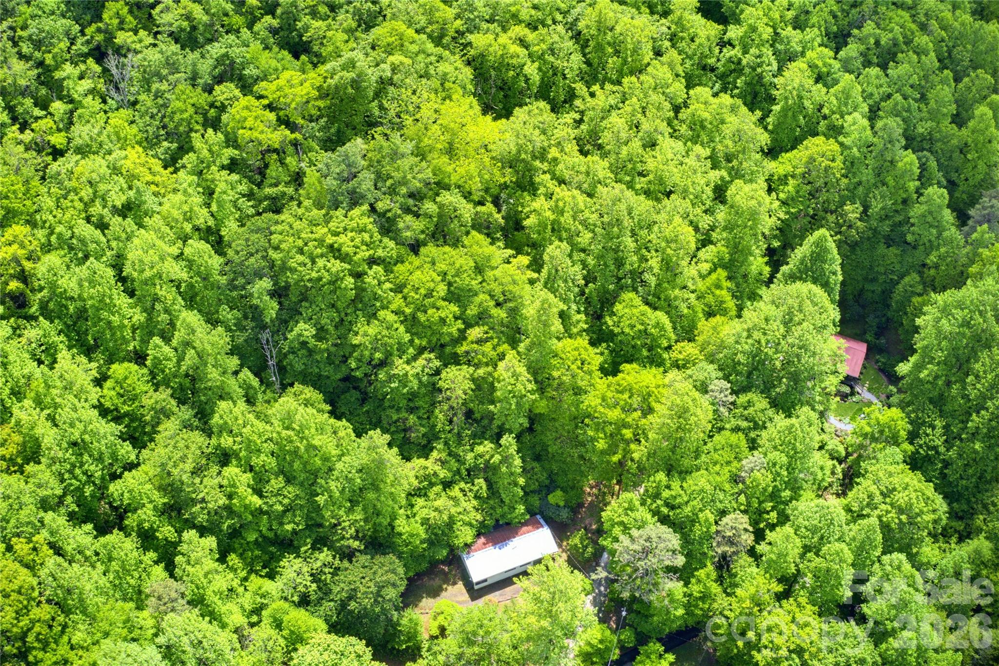 223 Little Cove Road Sylva, NC 28779 - Photo 8 of 31 a backyard of a house with lots of green space