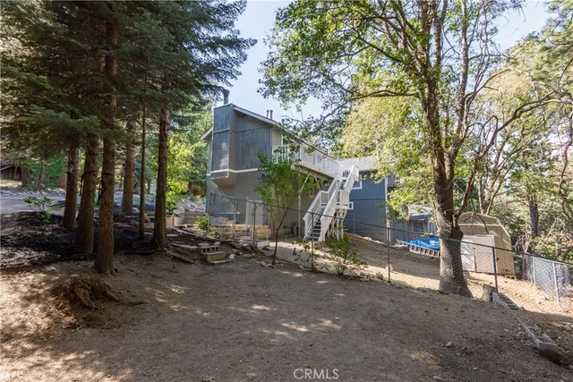 a view of a yard with plants and large tree