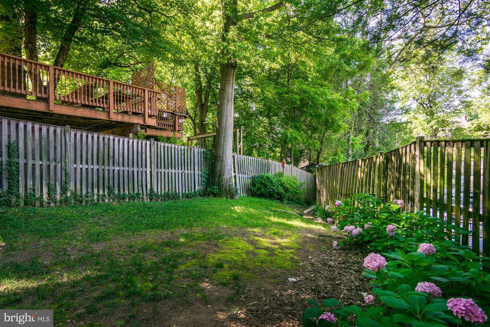 1626 Kalmia Road Northwest Washington, DC 20012 - Photo 44 of 48