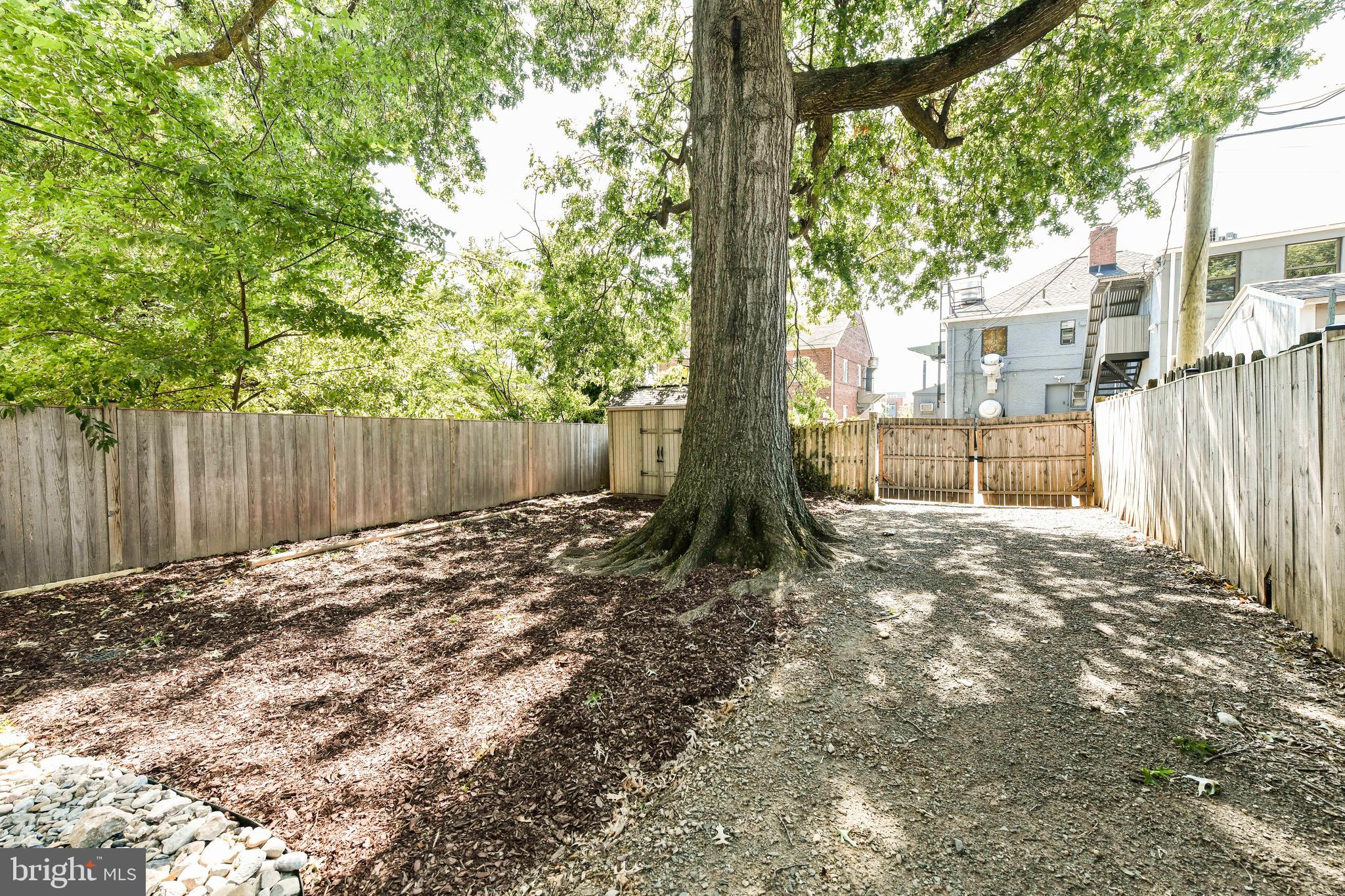 3210 9th Street South Arlington, VA 22204 - Photo 22 of 26 a backyard of a house with lots of green space