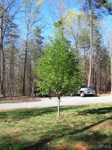2862 Roundabout Road Louisa, VA 23093 - Photo 11 of 24 a view of a tree with a yard