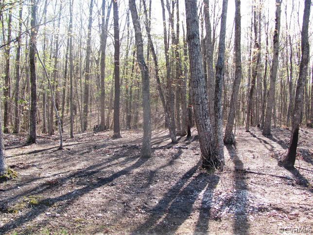 2862 Roundabout Road Louisa, VA 23093 - Photo 12 of 24 a view of a backyard of the house