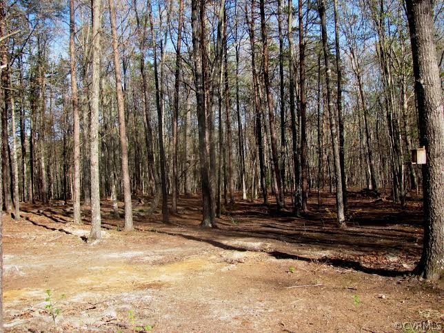 2862 Roundabout Road Louisa, VA 23093 - Photo 15 of 24 a view of a backyard of the house