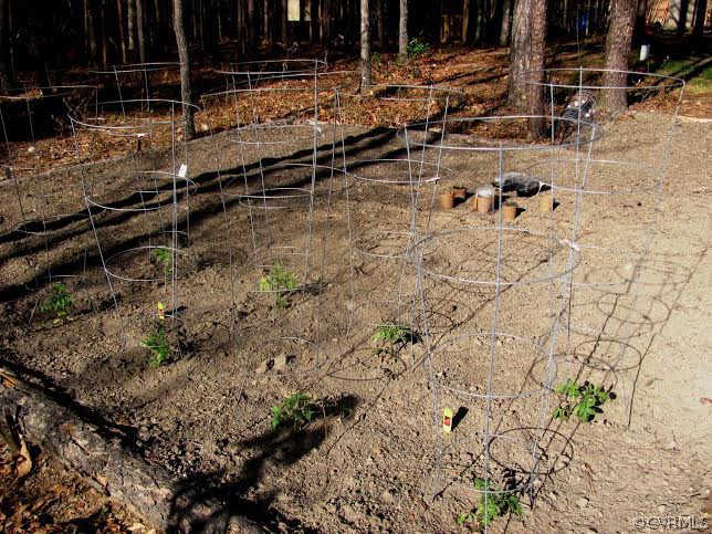 2862 Roundabout Road Louisa, VA 23093 - Photo 19 of 24 a view of a backyard of the house