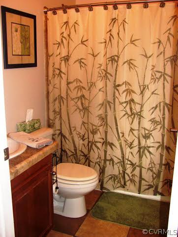 2862 Roundabout Road Louisa, VA 23093 - Photo 21 of 24 a white toilet sitting next to a shower curtain
