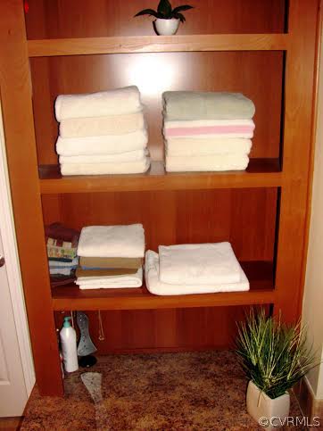 2862 Roundabout Road Louisa, VA 23093 - Photo 9 of 24 a room with storage and utility