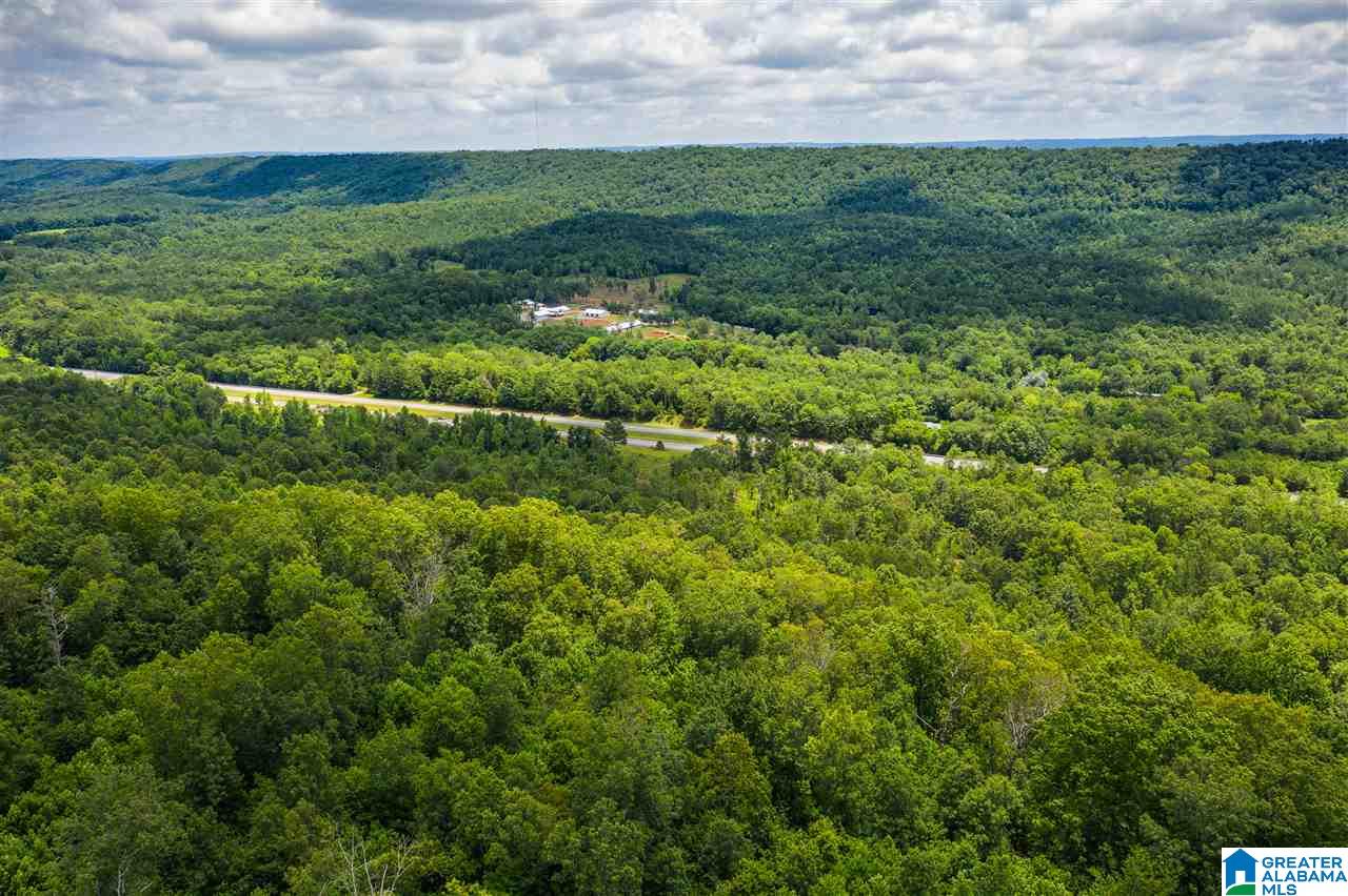 0 Highway 75, Unit 5032 Oneonta, AL 35121 - Photo 12 of 18